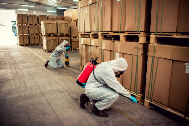 Best Termite Control Services  in Lompoc, CA