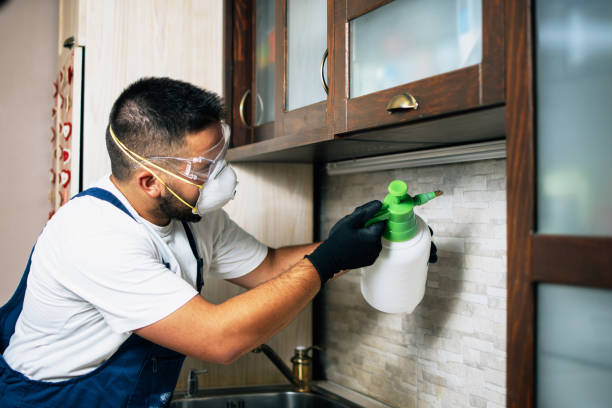 Best Emergency Pest Control  in Lompoc, CA