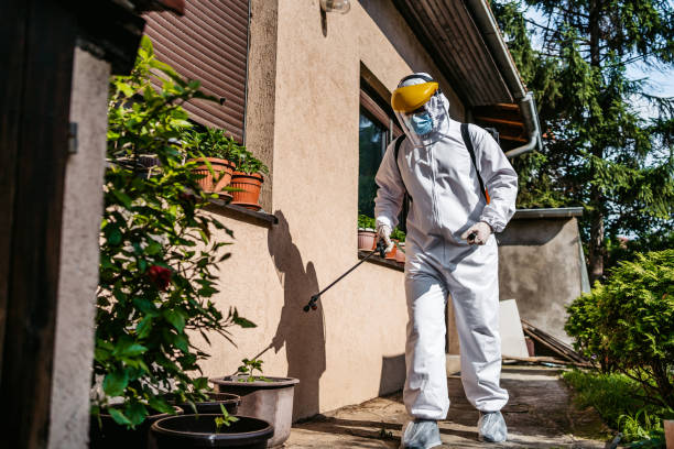 Best Best Pest Control Companies  in Lompoc, CA