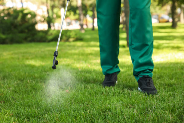 Best Ant Control Services  in Lompoc, CA