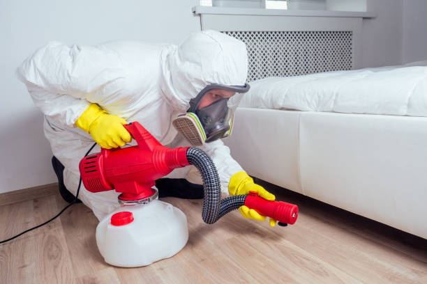 Best Best Pest Control Companies  in Lompoc, CA