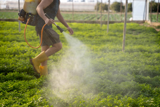 Best Pest Prevention Services  in Lompoc, CA