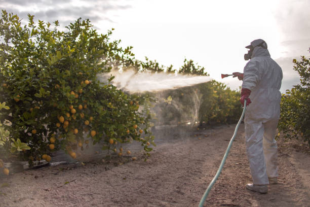 Best Insect Control  in Lompoc, CA