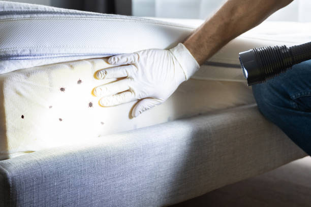 Best Best Pest Control Near Me  in Lompoc, CA