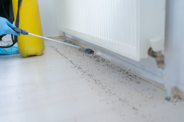 Best Insect Control  in Lompoc, CA