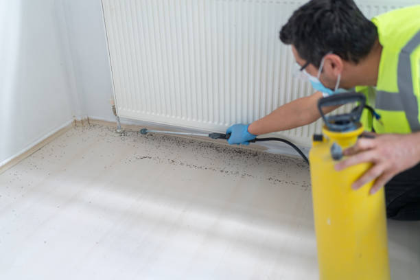 Best Mosquito Control Services  in Lompoc, CA