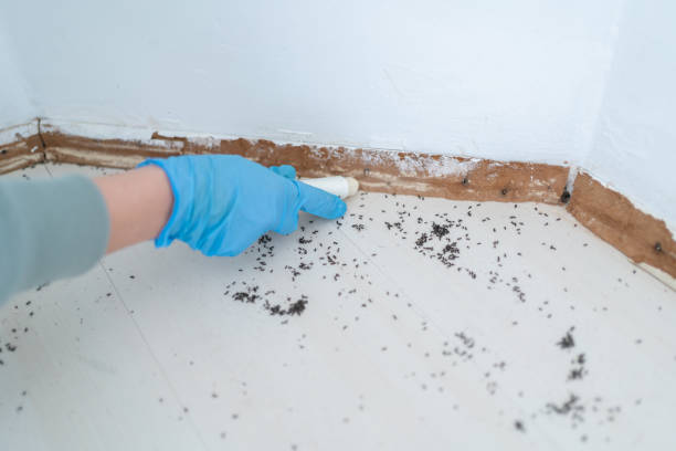 Lompoc, CA Pest Control Company