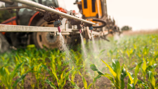 Best Ant Control Services  in Lompoc, CA